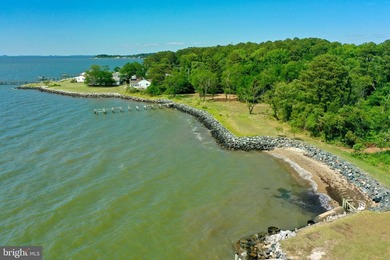 (private lake, pond, coastal) Acreage For Sale in Deal Island Maryland