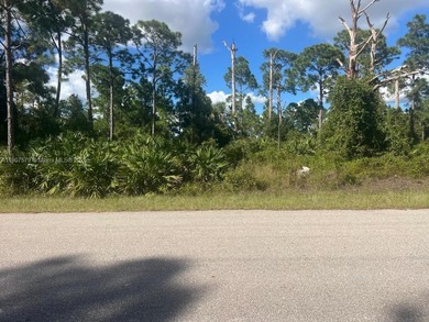 Lehigh Acres Area Lot For Sale in Lehigh Acres Florida