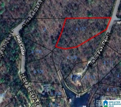 Lake Acreage For Sale in Wedowee, Alabama