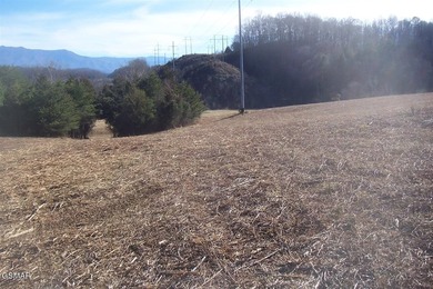 20.85 Acres with 762 feet fronting on the new Jake Thomas Rd! - photo 4