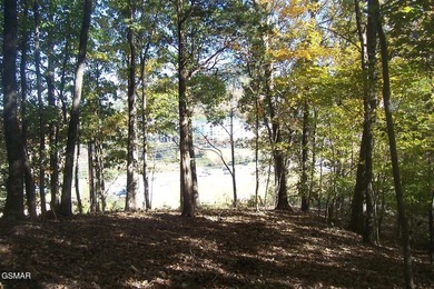 20.85 Acres with 762 feet fronting on the new Jake Thomas Rd! - photo 5