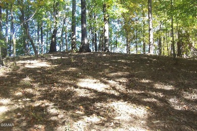 20.85 Acres with 762 feet fronting on the new Jake Thomas Rd! - photo 6