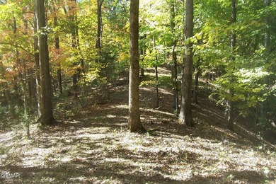 20.85 Acres with 762 feet fronting on the new Jake Thomas Rd! - photo 7