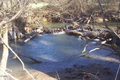 20.85 Acres with 762 feet fronting on the new Jake Thomas Rd! - photo 8