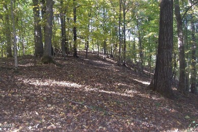 20.85 Acres with 762 feet fronting on the new Jake Thomas Rd! - photo 9