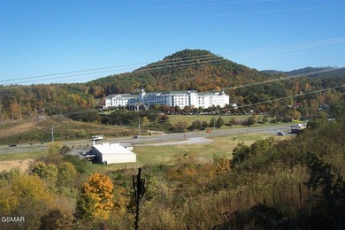 20.85 Acres with 762 feet fronting on the new Jake Thomas Rd! - photo 10