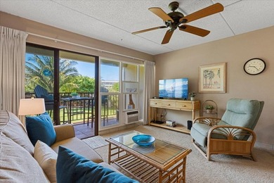 Aloha and welcome to Kihei Akahi C-317! This hotel-zoned - photo 2