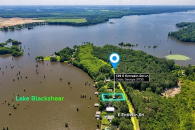 Build your Dream Getaway on Beautiful Lake Blackshear with this - photo 2