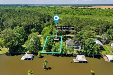 Build your Dream Getaway on Beautiful Lake Blackshear with this - photo 5