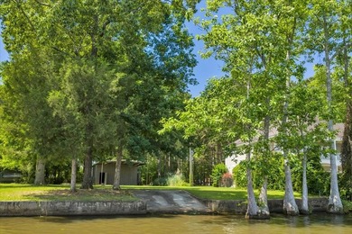 Build your Dream Getaway on Beautiful Lake Blackshear with this - photo 6