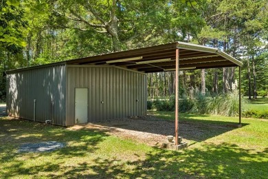 Build your Dream Getaway on Beautiful Lake Blackshear with this - photo 9