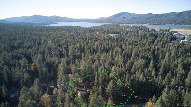 Iconic dual-cabin mountain estate on 1.14 acres with 7,162 sq ft - photo 49