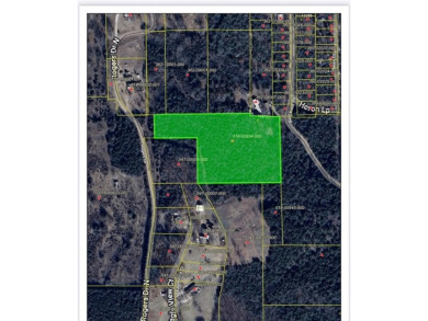 Lake Commercial For Sale in Lead Hill, Arkansas