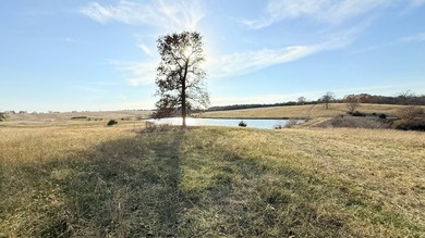 Lake Acreage For Sale in Pattonsburg, Missouri