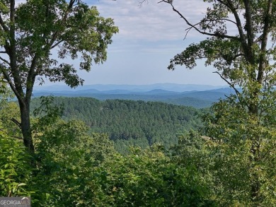 Lake Lot For Sale in Blairsville, Georgia
