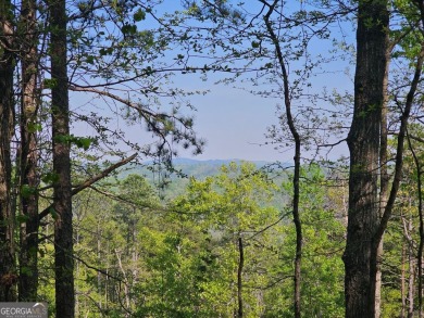 Lake Acreage For Sale in Ranger, Georgia