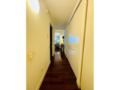 Luxury large studio located at residential high rise building - photo 13