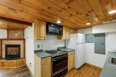 Two homes on One Great Lake - photo 12
