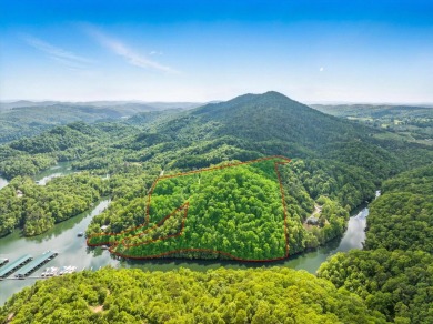 Lake Lot For Sale in Tazewell, Tennessee