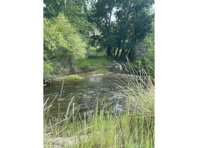 (private lake, pond, creek) Home For Sale in Anaconda Montana