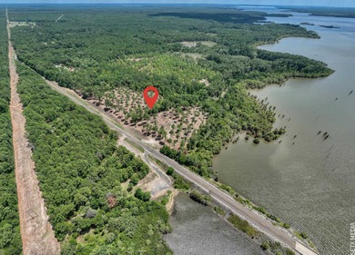 Lake Sam Rayburn  Acreage For Sale in Broaddus Texas