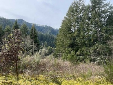 North Umpqua River Acreage For Sale in Oakland Oregon
