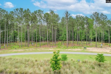Lake Lot For Sale in Prosperity, South Carolina