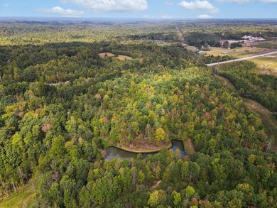 Spanning an impressive 35(+/-) acres in Strunk, Kentucky, right - photo 1