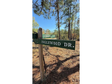 Lake Sam Rayburn  Lot For Sale in Brookeland Texas