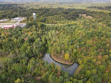 Spanning an impressive 35(+/-) acres in Strunk, Kentucky, right - photo 2