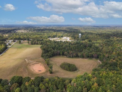 Spanning an impressive 35(+/-) acres in Strunk, Kentucky, right - photo 4