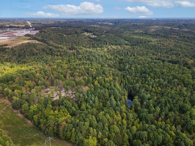 Spanning an impressive 35(+/-) acres in Strunk, Kentucky, right - photo 5