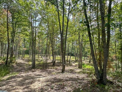 Spanning an impressive 35(+/-) acres in Strunk, Kentucky, right - photo 6