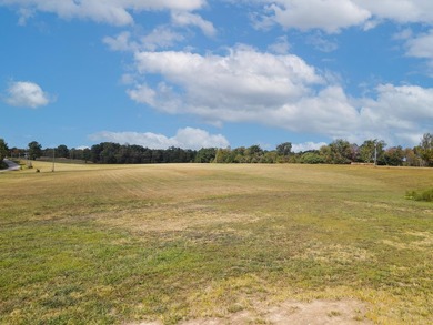Spanning an impressive 35(+/-) acres in Strunk, Kentucky, right - photo 7
