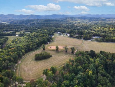 Spanning an impressive 35(+/-) acres in Strunk, Kentucky, right - photo 8