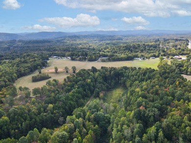 Spanning an impressive 35(+/-) acres in Strunk, Kentucky, right - photo 9