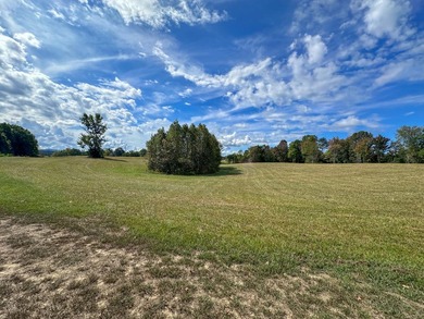 Spanning an impressive 35(+/-) acres in Strunk, Kentucky, right - photo 10