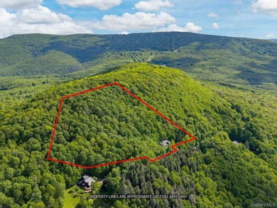 Welcome to your perfect year round Lodge in Belleayre! Nestled - photo 4