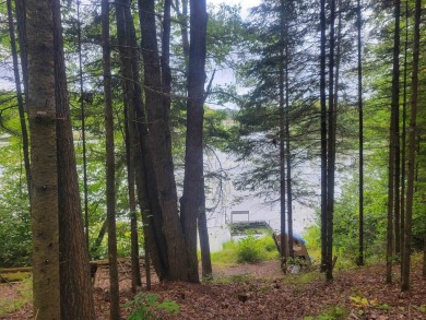 Lake Lot For Sale in Townsend, Wisconsin