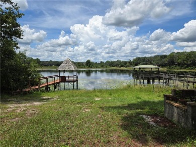 Lake Home For Sale in Ocklawaha, Florida