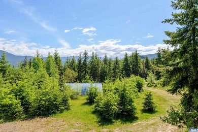 This unbelievable property presents a once-in-a-lifetime - photo 29