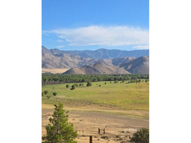 Discover 7.49 fully fenced acres with stunning lake views - photo 4