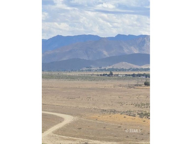 Discover 7.49 fully fenced acres with stunning lake views - photo 6