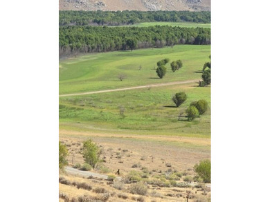 Discover 7.49 fully fenced acres with stunning lake views - photo 7