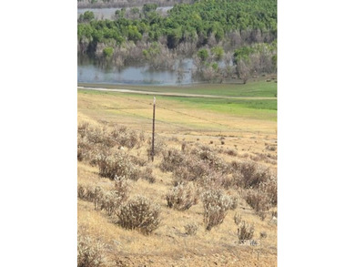 Discover 7.49 fully fenced acres with stunning lake views - photo 8