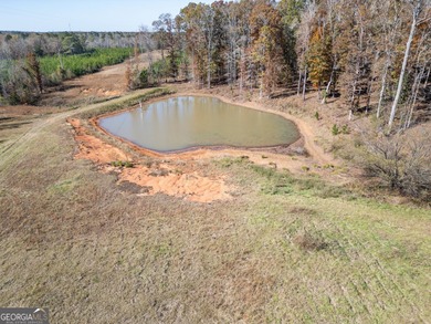 Discover 29+ beautiful acres of peace and privacy with this - photo 46