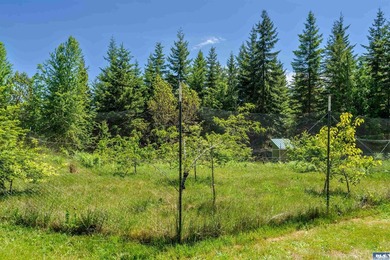 This unbelievable property presents a once-in-a-lifetime - photo 46