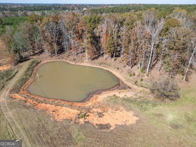 Discover 29+ beautiful acres of peace and privacy with this - photo 47