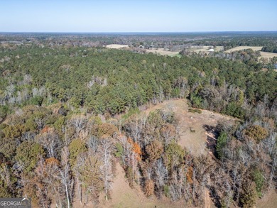 Discover 29+ beautiful acres of peace and privacy with this - photo 48