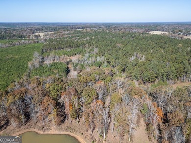 Discover 29+ beautiful acres of peace and privacy with this - photo 49